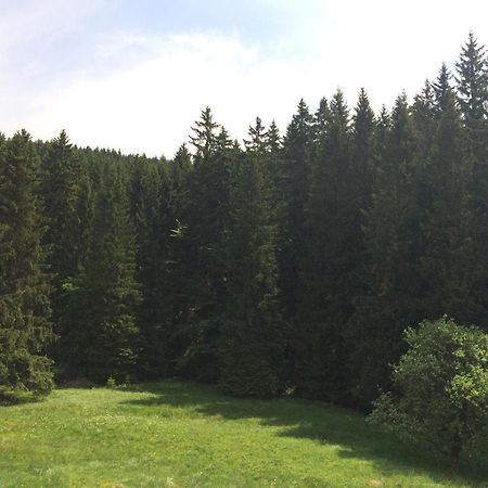 Appartements Und Ferienhaus Gasthof Kanzlersgrund Оберхоф Экстерьер фото