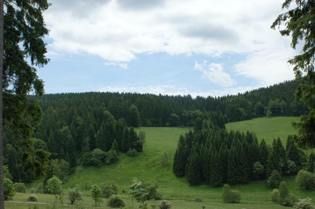Appartements Und Ferienhaus Gasthof Kanzlersgrund Оберхоф Экстерьер фото