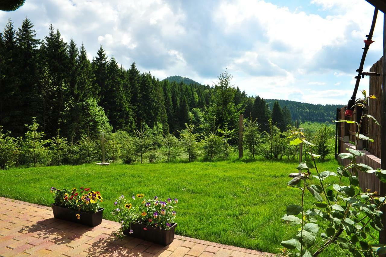 Appartements Und Ferienhaus Gasthof Kanzlersgrund Оберхоф Экстерьер фото