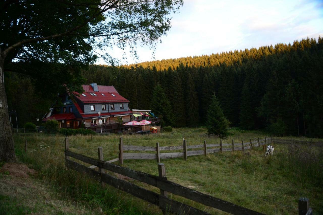 Appartements Und Ferienhaus Gasthof Kanzlersgrund Оберхоф Экстерьер фото